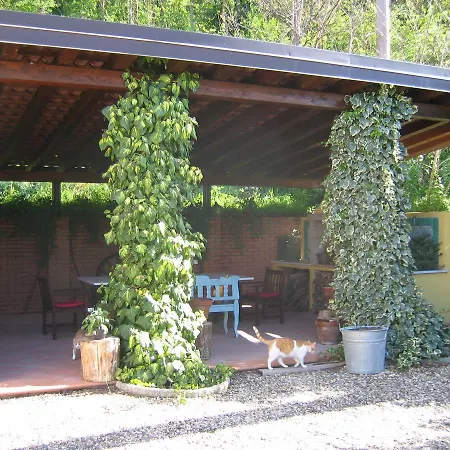 Arabella Bed & Breakfast